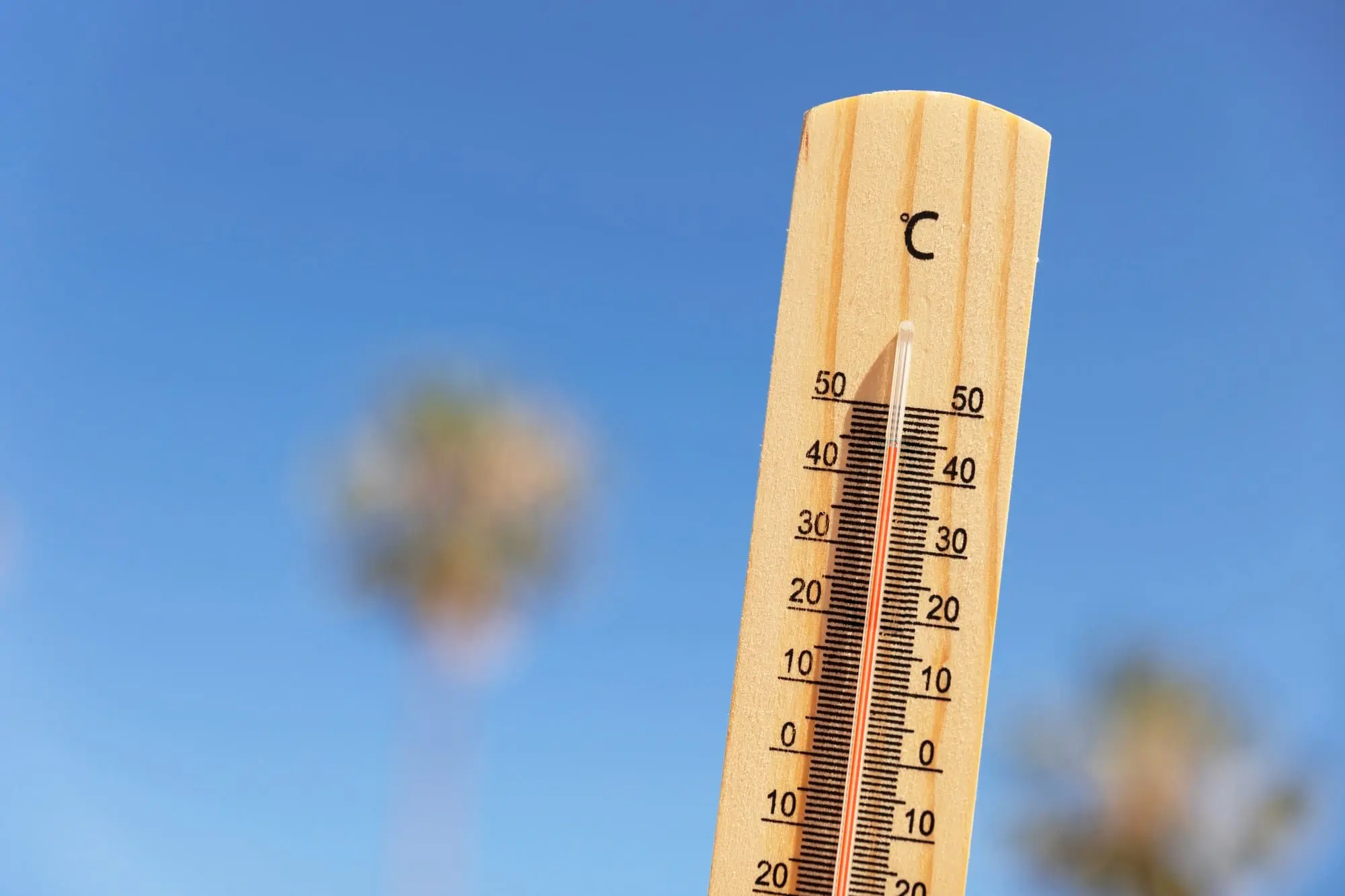 A Importância do Controle de Temperatura Durante a Cadeia Logística