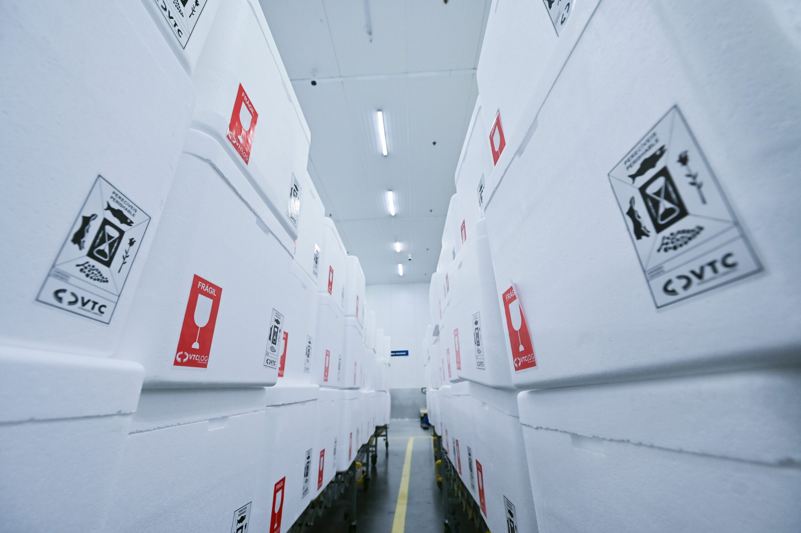 Cold Chain — O Que É Preciso Saber Sobre O Funcionamento Da Cadeia Fria?
