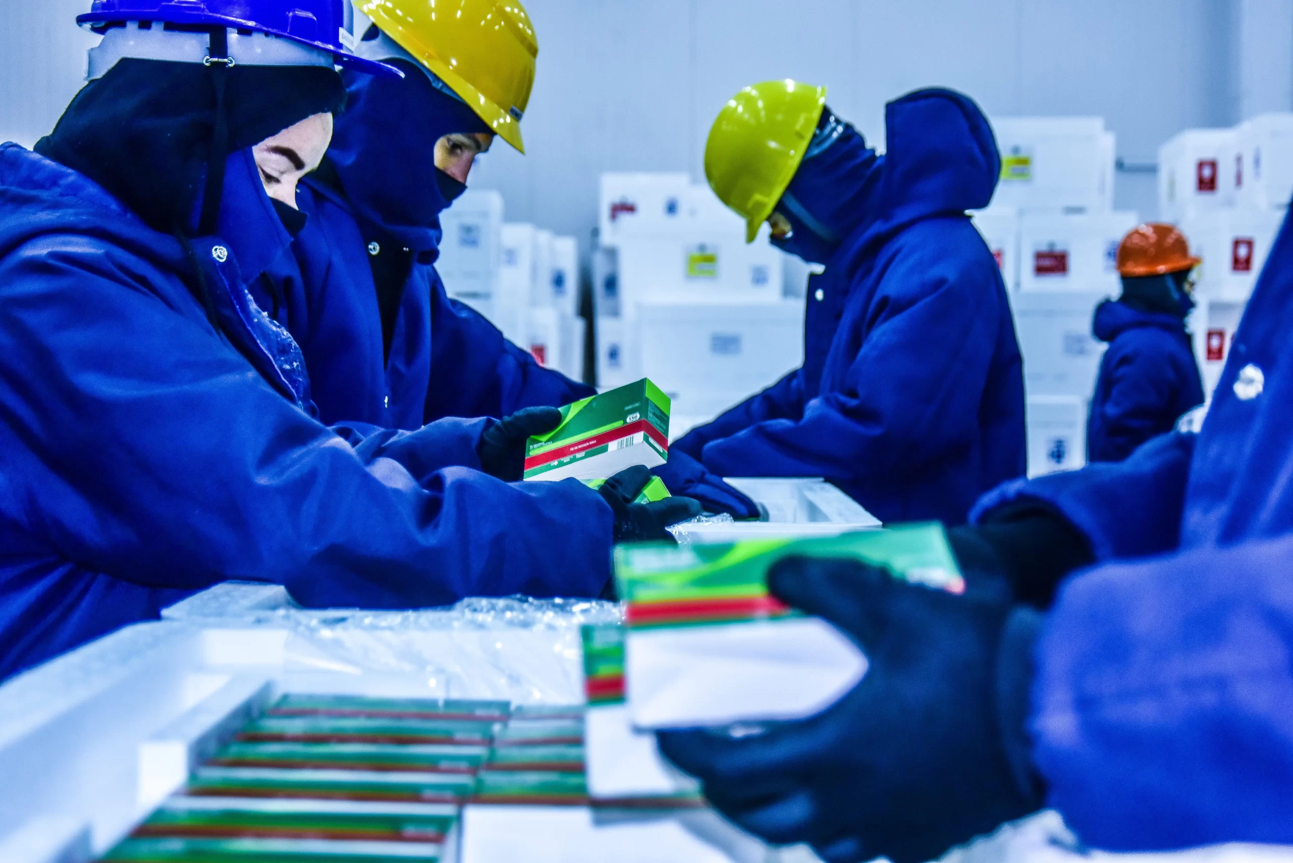 Como Escolher Um Operador Logístico Farmacêutico